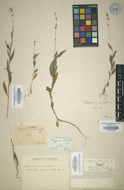 LE 01013274