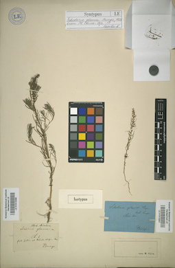 LE 01013365