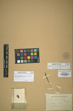 LE 01013463