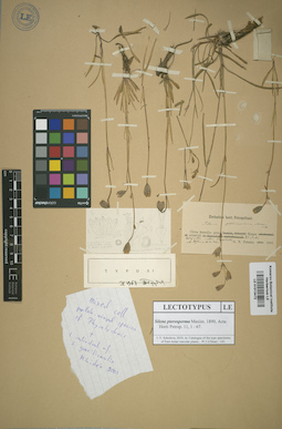 LE 01013472