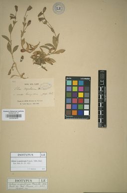 LE 01013473