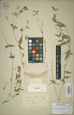 LE 01013478