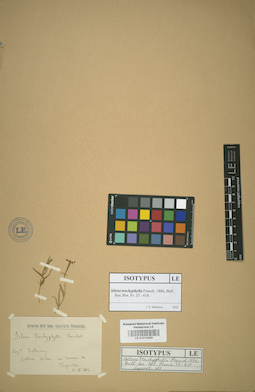 LE 01013480