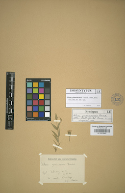 LE 01013481