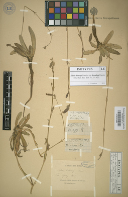 LE 01013482