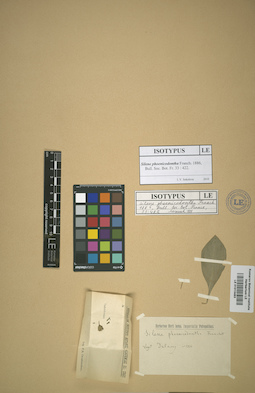 LE 01013483
