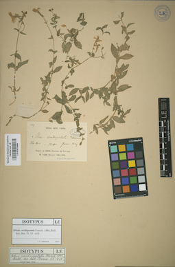 LE 01013484