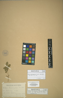 LE 01013485