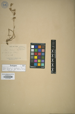 LE 01013486