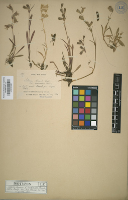 LE 01013487
