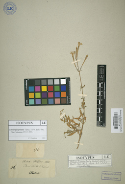 LE 01013489