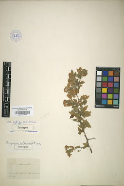 LE 01013509