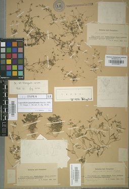LE 01013517