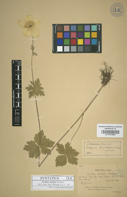 LE 01013582