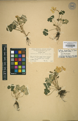 LE 01013588
