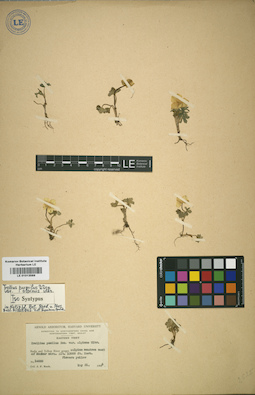 LE 01013589