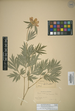 LE 01013601