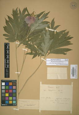 LE 01013602