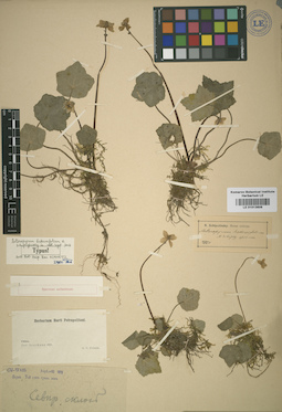 LE 01013606