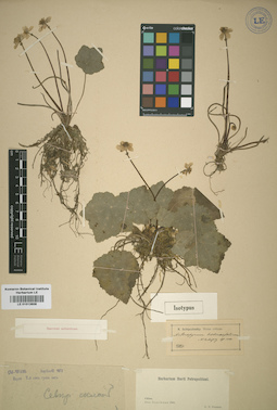 LE 01013608