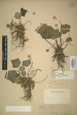 LE 01013612