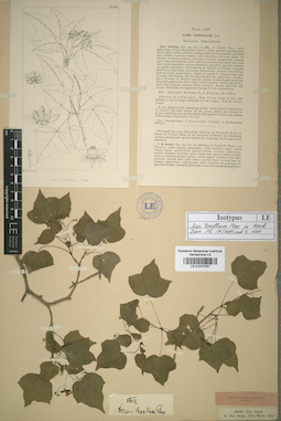 LE 01013767