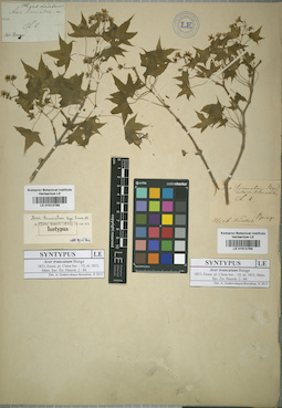 LE 01013769