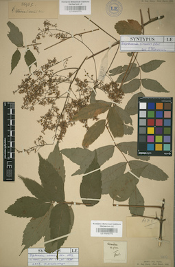 LE 01013772