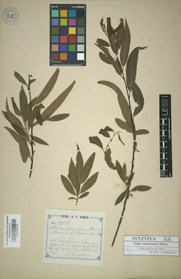 LE 01013773
