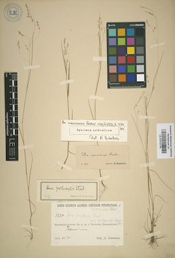 LE 01013776