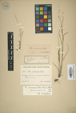 LE 01013777