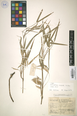 LE 01013778