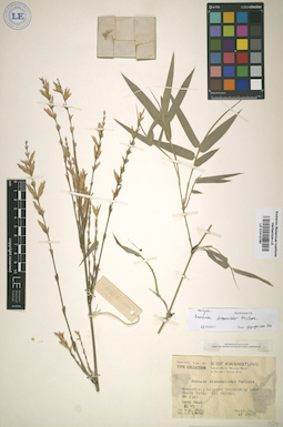 LE 01013780