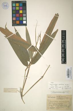 LE 01013783
