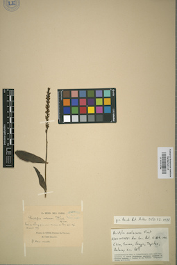 LE 01013784