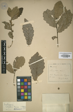 LE 01013789
