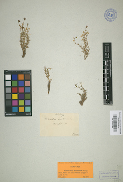 LE 01013793