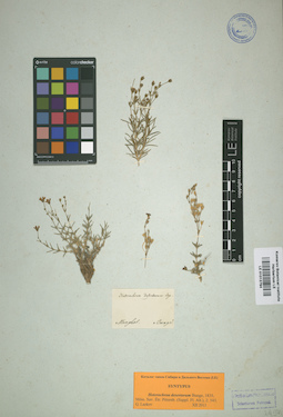 LE 01013794