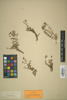 LE 01013796