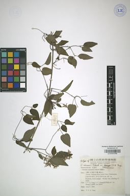 LE 01013798