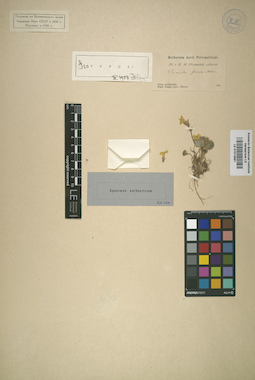 LE 01013891