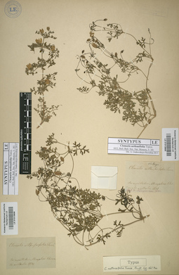 LE 01013905