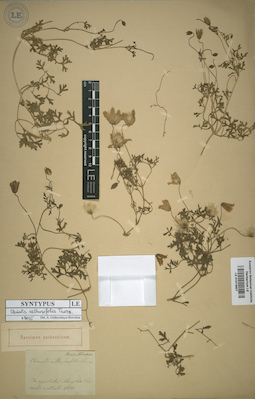 LE 01013907