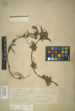 LE 01013918