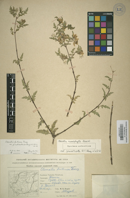 LE 01013927