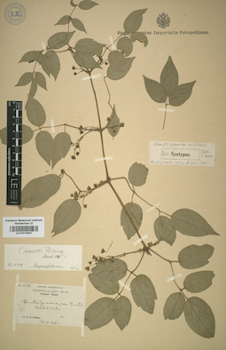 LE 01013937