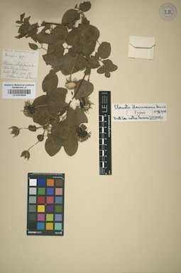LE 01013938