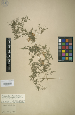 LE 01013941