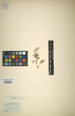 LE 01013942