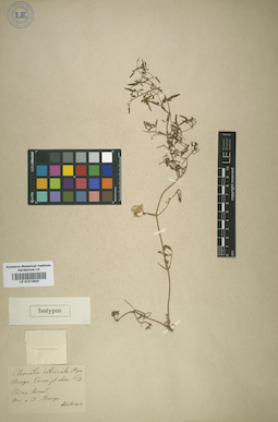 LE 01013943